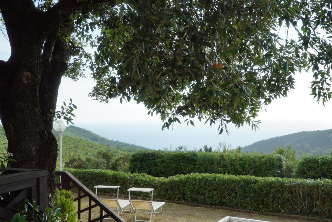 B&B Il Piccolo Paradiso Montenero  Экстерьер фото